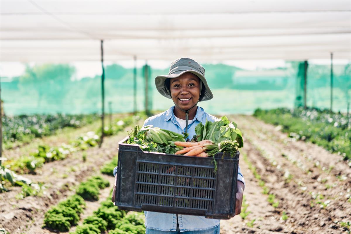 How Farming Cooperatives Are Healing South Sudan