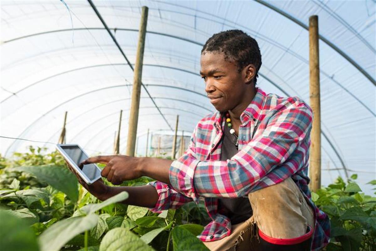 How Sierra Leone Is Building a Different Economic Future